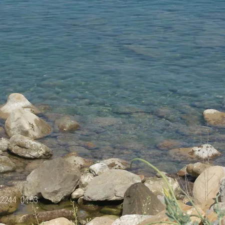 Dei Fiori Apartamento