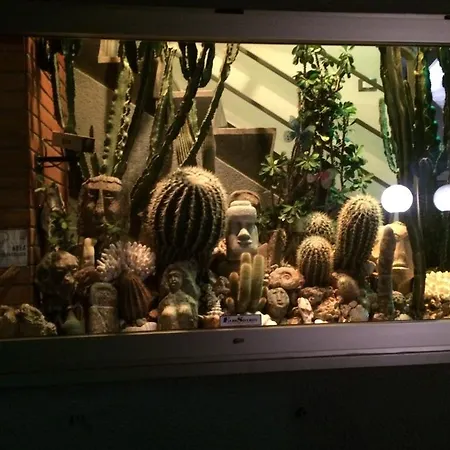 Dei Fiori Bordighera